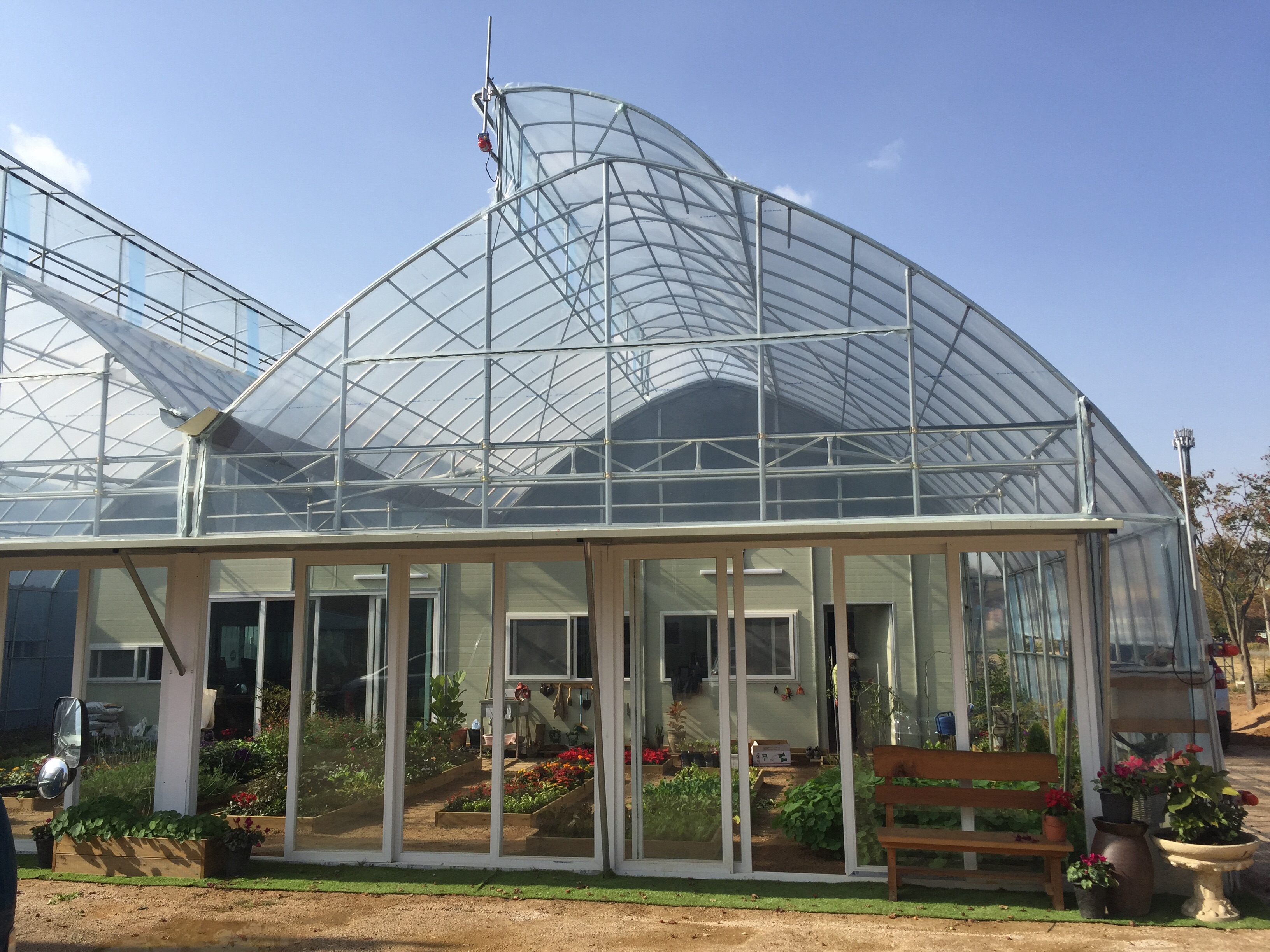 댄싱플라워교육원