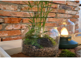 테라리움 만들기 체험