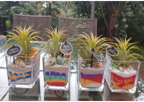 유리 속 작은 정원 만들기