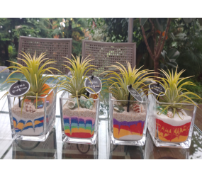 유리 속 작은 정원 만들기