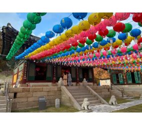[현장체험] 흥국사 템플스테이 (휴식형)