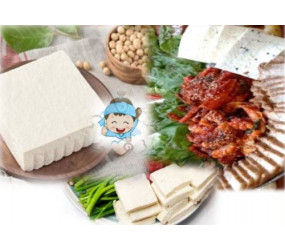 [현장체험] 초당 두부 만들기